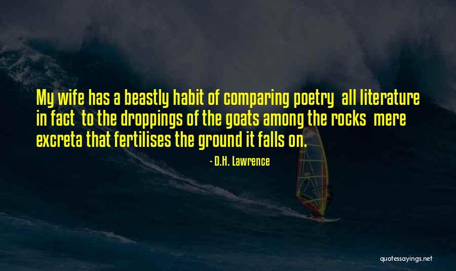Francisco Usf Oasis Quotes By D.H. Lawrence Francisco Usf Oasis Quotes By D.H. Lawrence