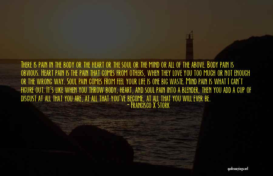 Francisco X Stork Quotes 575235 Francisco X Stork Quotes 575235