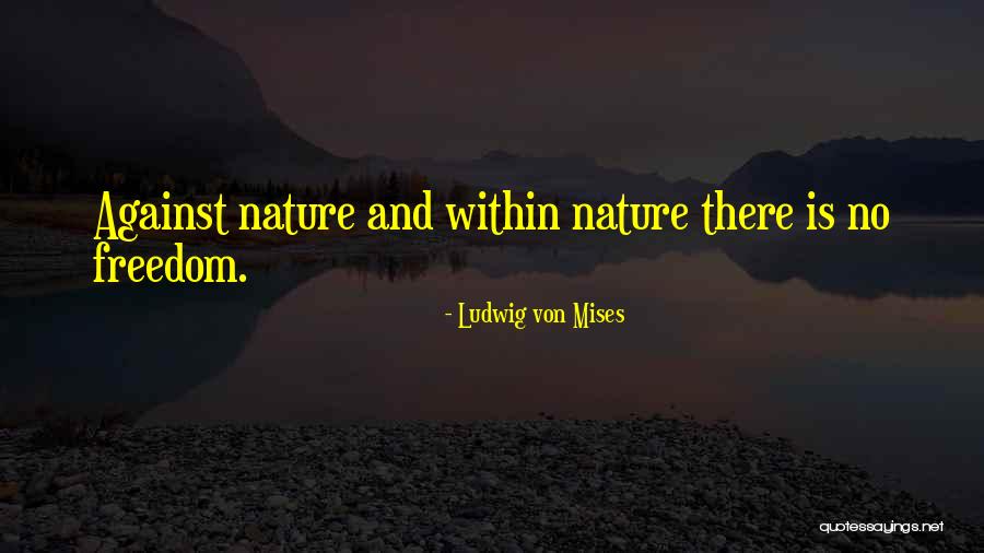 Franckowiak Painting Quotes By Ludwig Von Mises Franckowiak Painting Quotes By Ludwig Von Mises