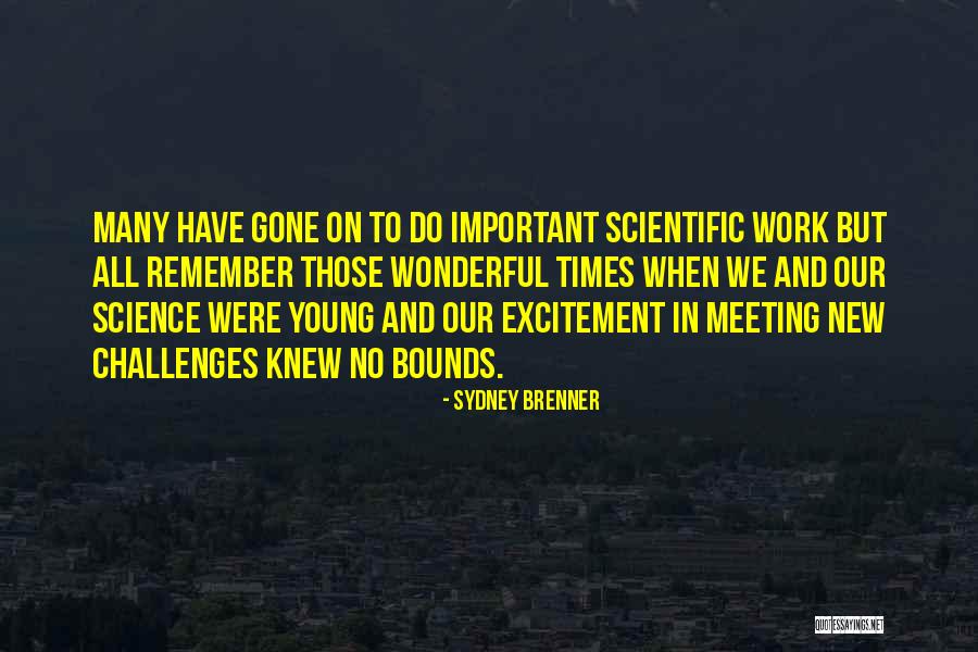 Franco Baresi Quotes By Sydney Brenner Franco Baresi Quotes By Sydney Brenner