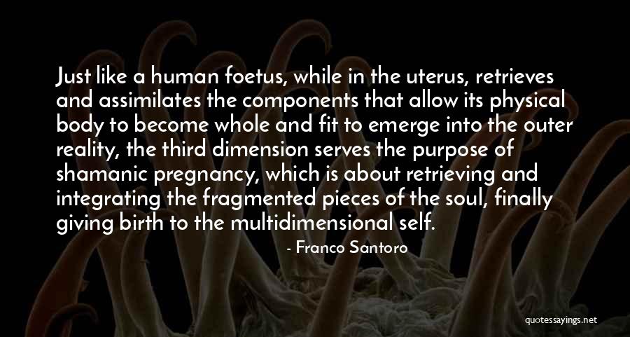 Franco Santoro Quotes 885299 Franco Santoro Quotes 885299