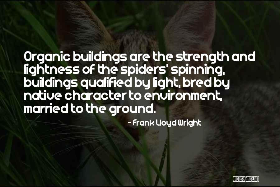 Frank Lloyd Wright Quotes 1009164 Frank Lloyd Wright Quotes 1009164
