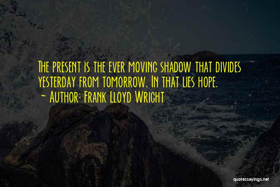 Frank Lloyd Wright Quotes 2132267