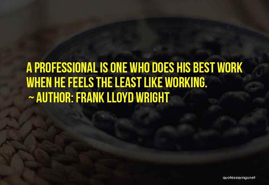 Frank Lloyd Wright Quotes 513041