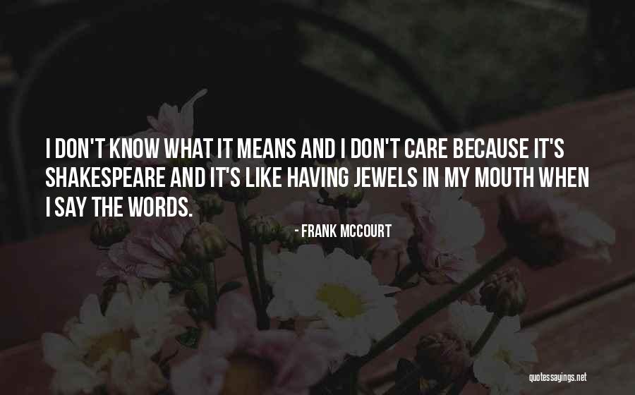 Frank McCourt Quotes 1234315