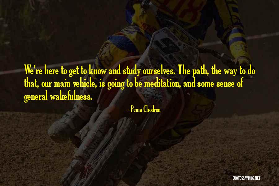 Frank Mckibben Quotes By Pema Chodron Frank Mckibben Quotes By Pema Chodron