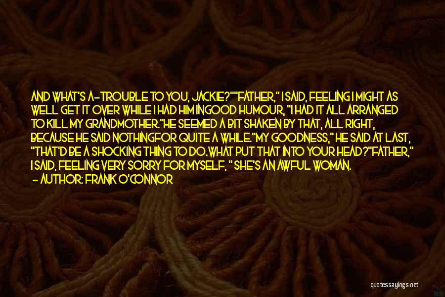 Frank O'Connor Quotes 1493022