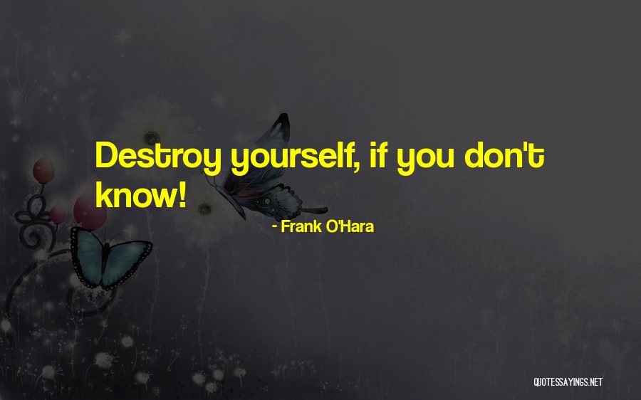 Frank O'Hara Quotes 1136011