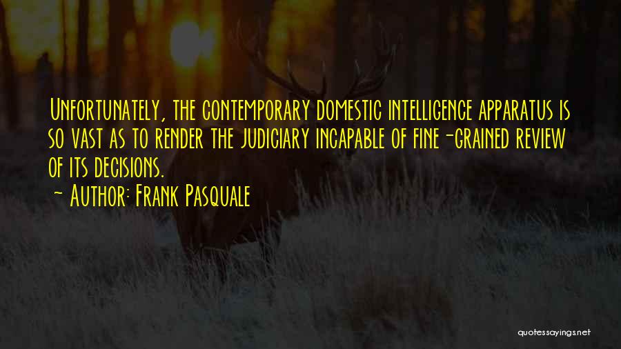 Frank Pasquale Quotes 1713909