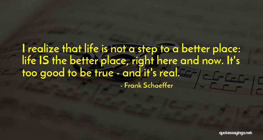 Frank Schaeffer Quotes 932541