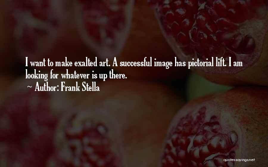 Frank Stella Quotes 218874