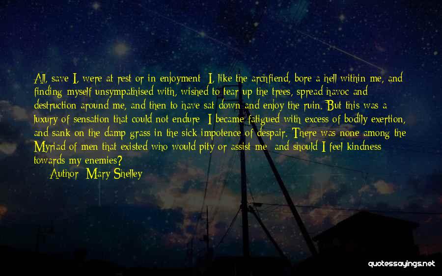 Frankenstein Self Destruction Quotes By Mary Shelley