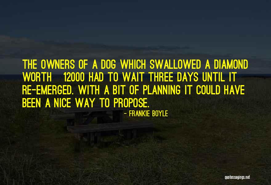 Frankie Boyle Quotes 778199