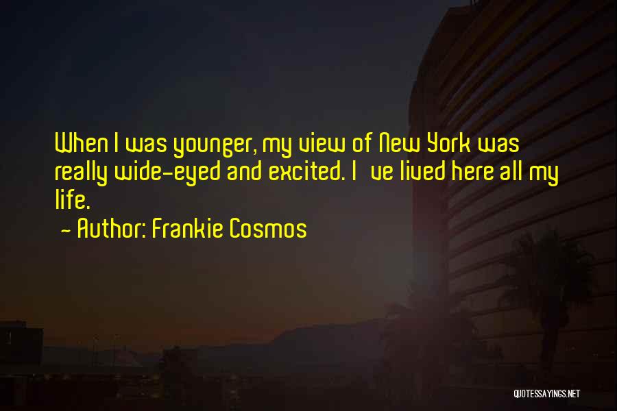 Frankie Cosmos Quotes 1986470