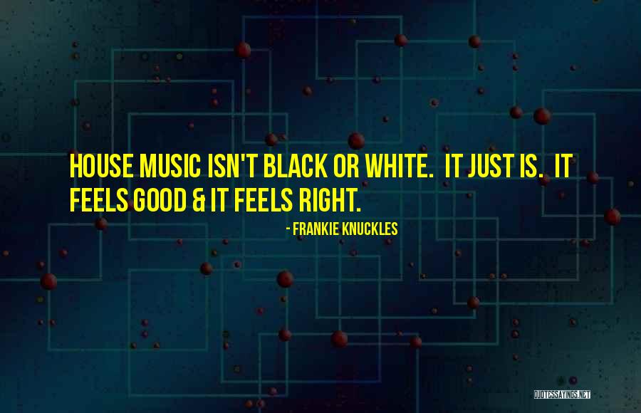 Frankie Knuckles Quotes 2145117