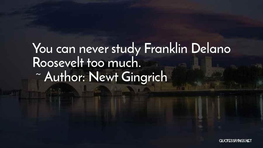 Franklin Delano Quotes By Newt Gingrich