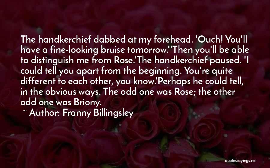 Franny Billingsley Quotes 1658094