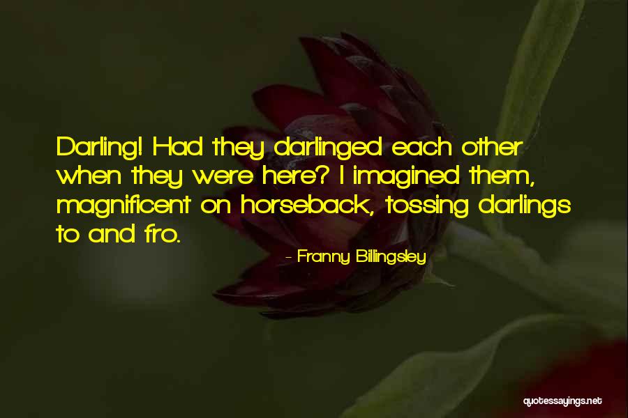 Franny Billingsley Quotes 1684303