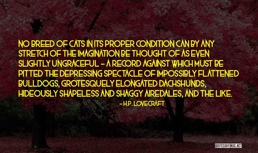 Franquicias Quotes By H.P. Lovecraft Franquicias Quotes By H.P. Lovecraft