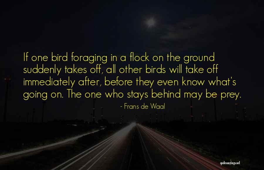 Frans De Waal Quotes 1835383 Frans De Waal Quotes 1835383