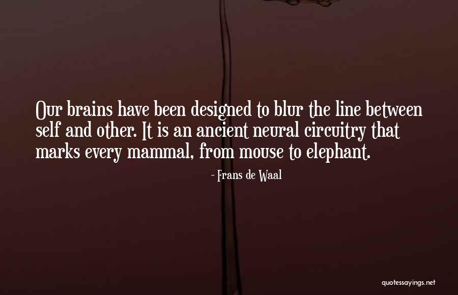 Frans De Waal Quotes 2071192 Frans De Waal Quotes 2071192