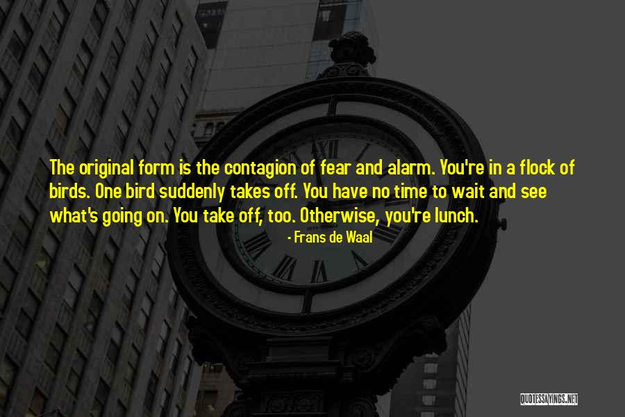 Frans Quotes By Frans De Waal Frans Quotes By Frans De Waal