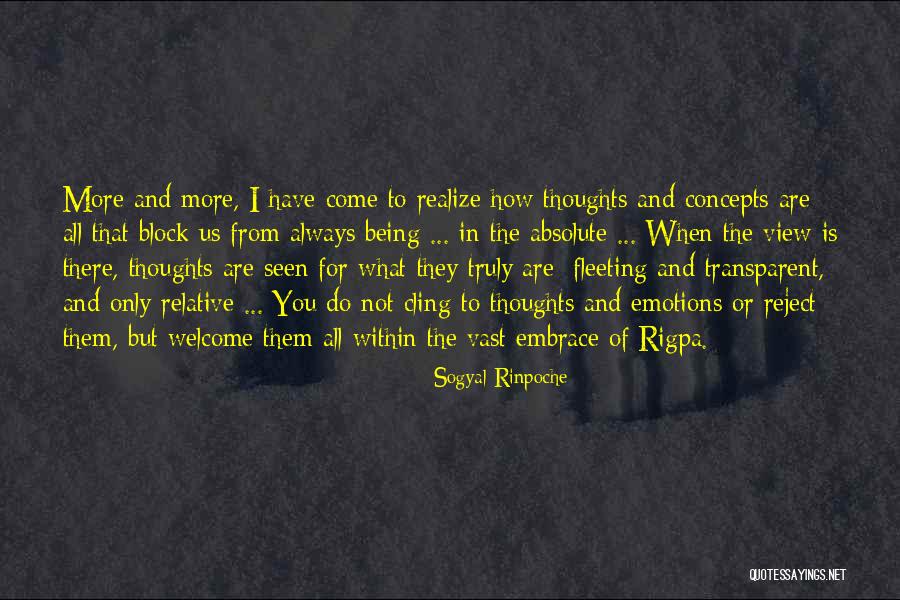 Franse Zinnen Quotes By Sogyal Rinpoche Franse Zinnen Quotes By Sogyal Rinpoche