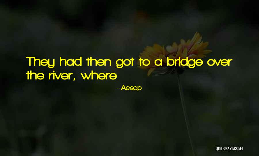 Fransje Bik Quotes By Aesop