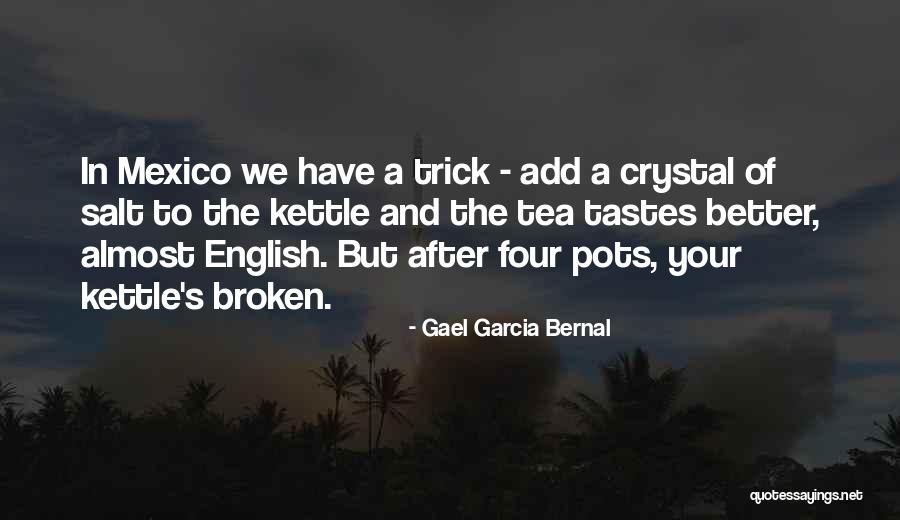 Franssen Keukens Quotes By Gael Garcia Bernal Franssen Keukens Quotes By Gael Garcia Bernal