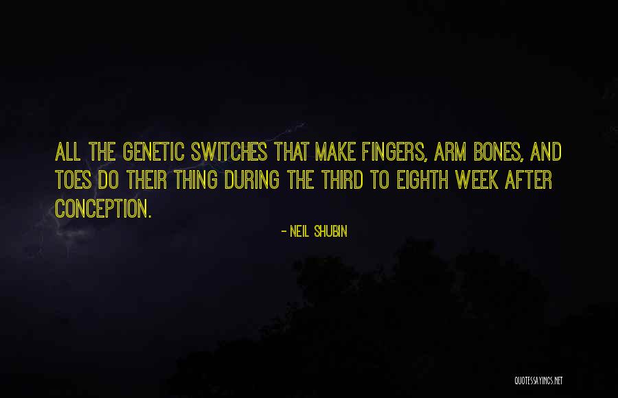 Frantzen Kitchen Quotes By Neil Shubin Frantzen Kitchen Quotes By Neil Shubin