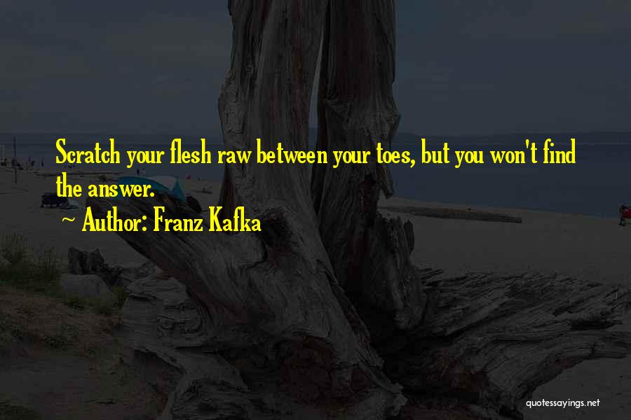 Franz Kafka Quotes 1334542