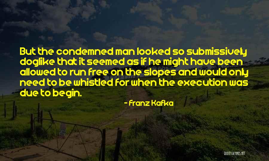 Franz Kafka Quotes 187164