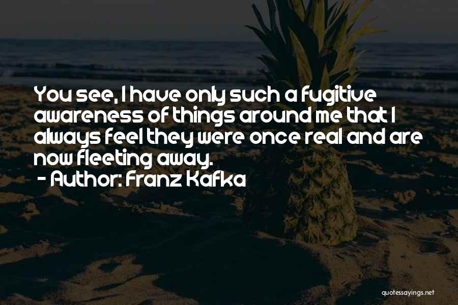 Franz Kafka Quotes 2092873