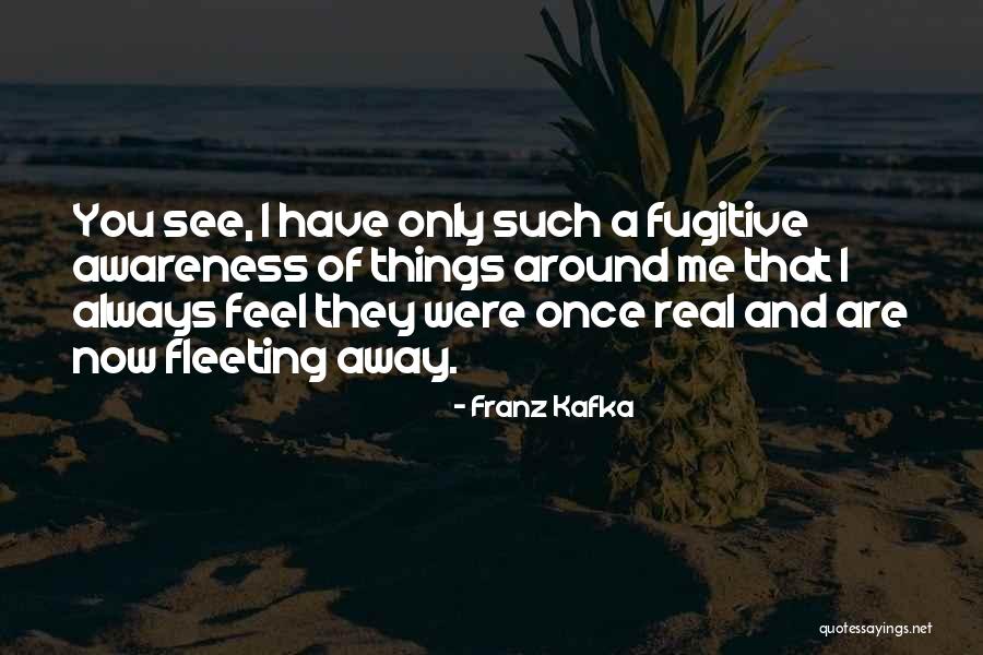 Franz Kafka Quotes 2092873