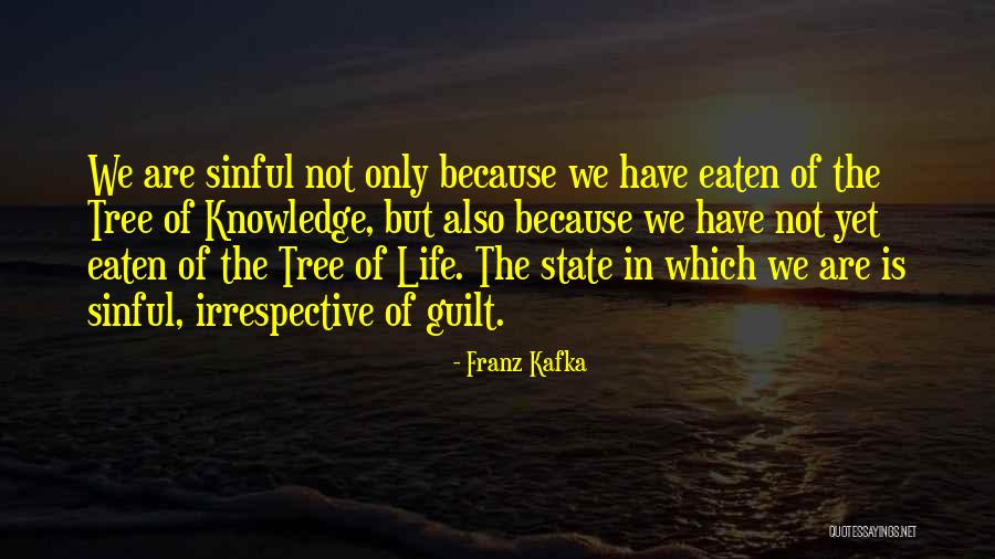 Franz Kafka Quotes 393842