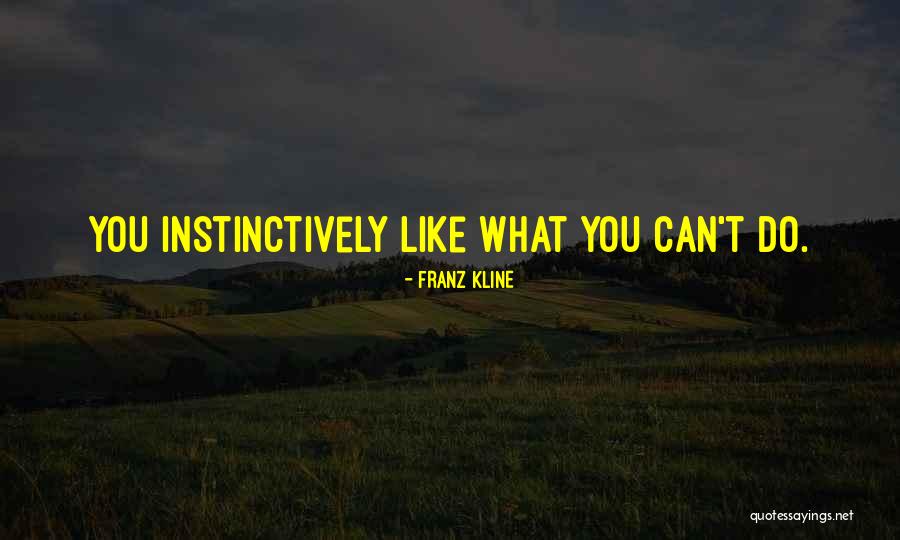 Franz Kline Quotes 369033 Franz Kline Quotes 369033
