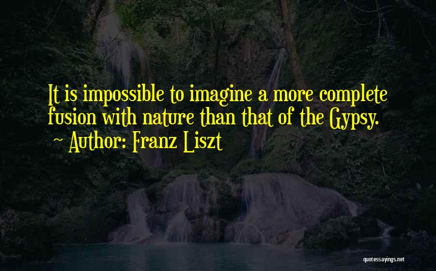 Franz Liszt Quotes 1277177