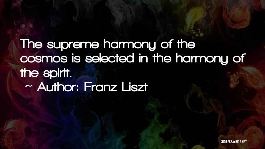 Franz Liszt Quotes 1290148
