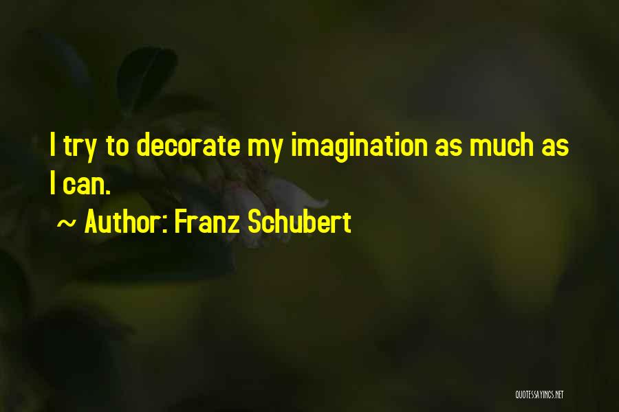 Franz Schubert Quotes 1066248