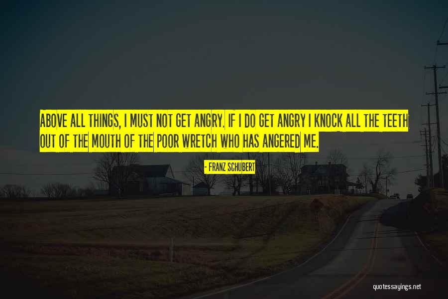Franz Schubert Quotes 1107582 Franz Schubert Quotes 1107582