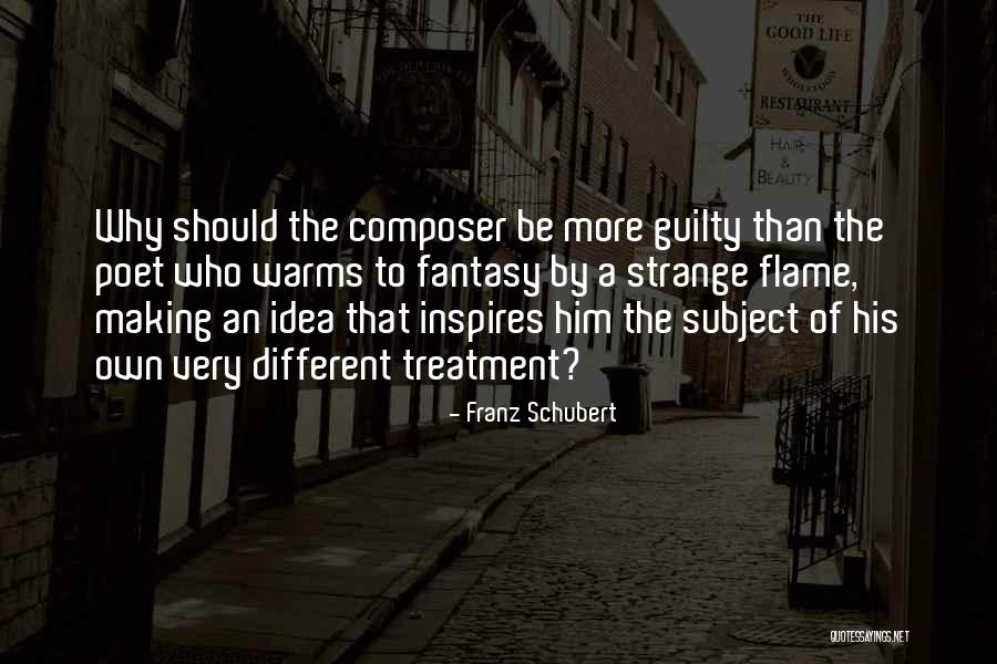 Franz Schubert Quotes 1199045