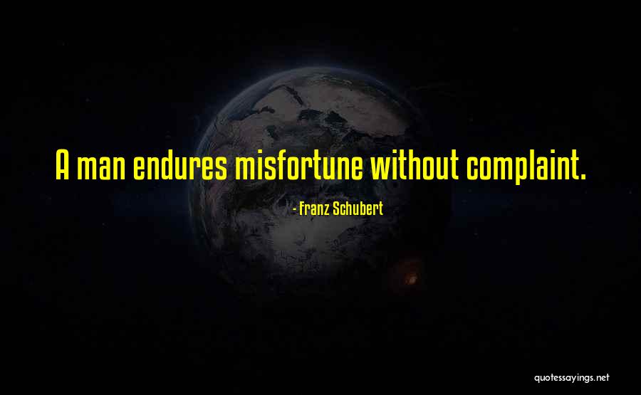 Franz Schubert Quotes 124844 Franz Schubert Quotes 124844
