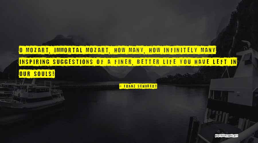Franz Schubert Quotes 1337224 Franz Schubert Quotes 1337224