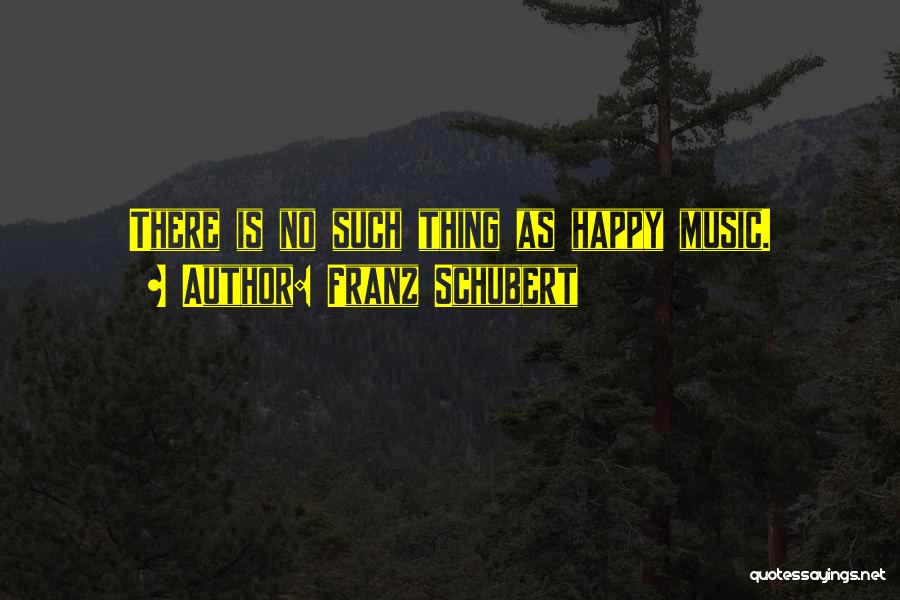 Franz Schubert Quotes 1413032