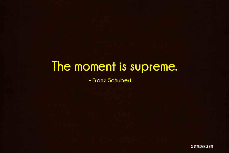 Franz Schubert Quotes 180052