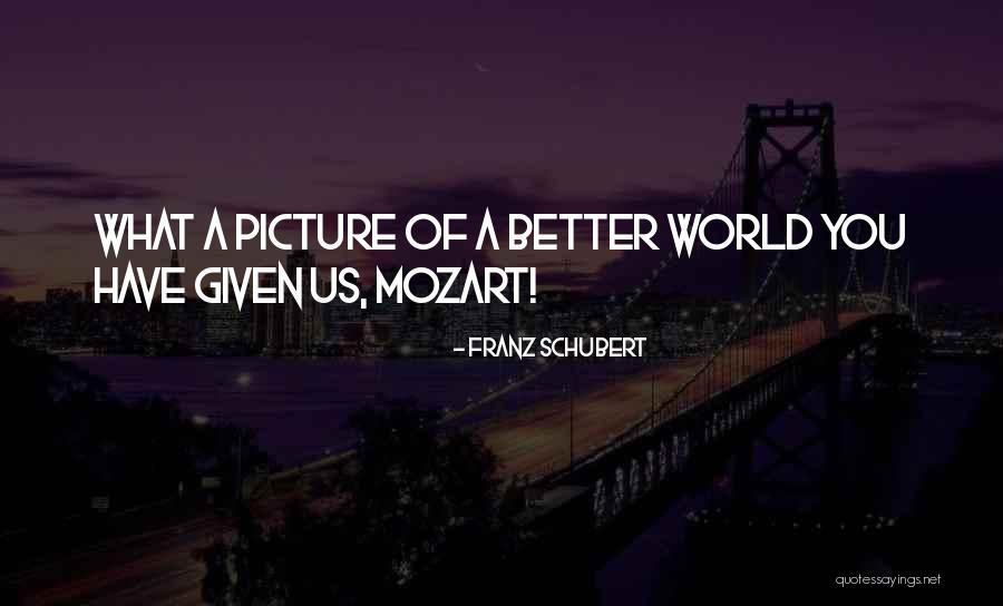 Franz Schubert Quotes 1935853 Franz Schubert Quotes 1935853