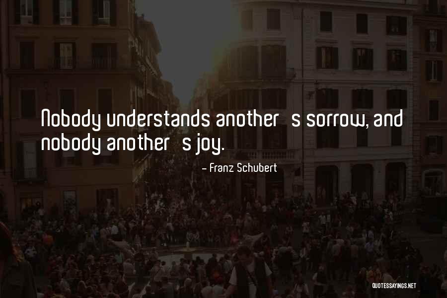 Franz Schubert Quotes 781355