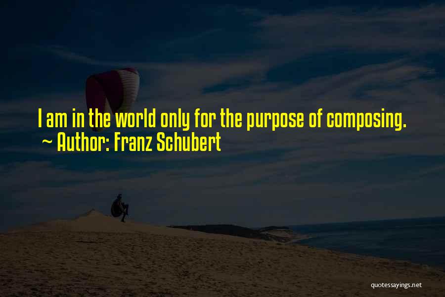 Franz Schubert Quotes 842218