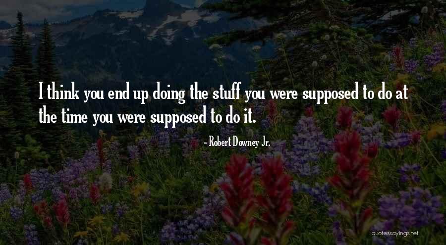 Franzini Fellowship Quotes By Robert Downey Jr. Franzini Fellowship Quotes By Robert Downey Jr.