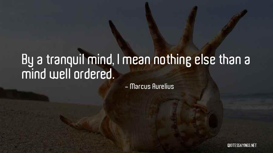 Fraser Seitel Quotes By Marcus Aurelius